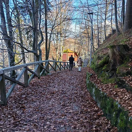 Centralissimo Tiziano 10 A *