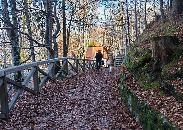 Centralissimo Tiziano 10 A *